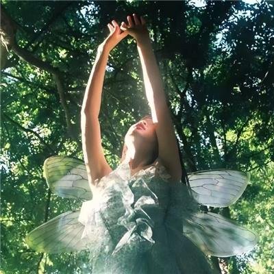 舒克贝塔第四季